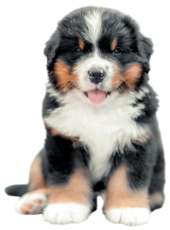 athos